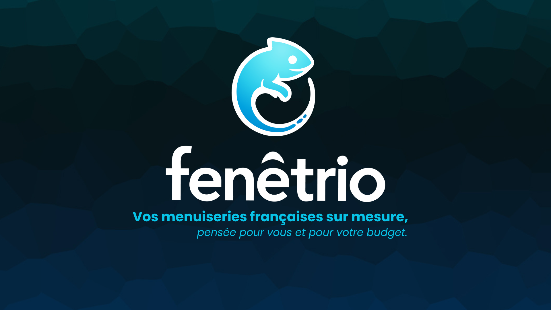 porte-entree-aluminium-sur-mesure-fenetrio